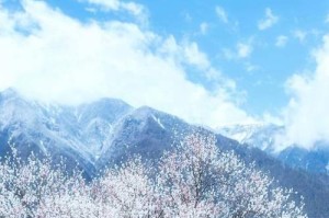 以神雕侠侣第四回攻略（谁是真凶？一场陷阱与真相的较量）