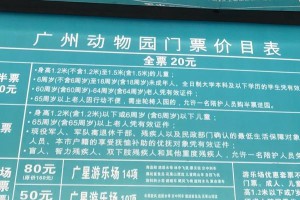 动物园逃亡攻略（揭秘动物园逃亡成功的关键和方法）