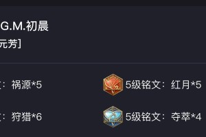 国服苏烈修文铭文出装攻略（无敌苏烈，掌握铭文出装的关键技巧！）