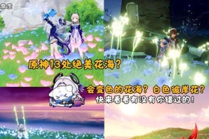 原神拍照新玩法攻略——发掘美丽的大陆风光（如何利用原神的拍照系统，捕捉瞬间、分享精彩）