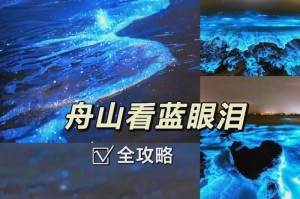 无限火力（打造最强战斗装备，称霸手游江湖）