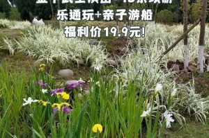 《金甲武士出装顺序攻略》（掌握关键装备，提升胜率无止境）
