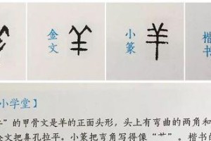 山羊盘古出装及铭文攻略（打造强力输出的山羊盘古，装备与铭文选择详解）