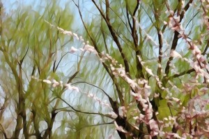 《弹射世界里昂》风老王技能属性展示（火力全开，助阵战场！——详解风老王的强大技能属性）