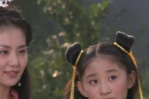 解密陆小凤金鹏皇朝攻略（揭秘金鹏皇朝的王牌技巧与策略）
