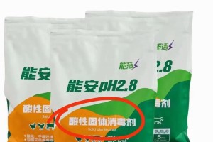 养猪场攻略（提高饲料利用率，确保猪只健康成长）