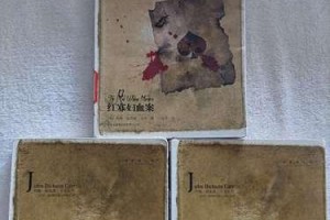 新版寡妇教学出装攻略（从头到脚打造最强寡妇，让你成为游戏主宰！）