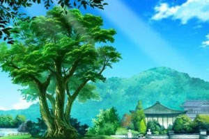 木屋攻略（解锁秘密、突破难关，助你成为木屋冒险的大师！）
