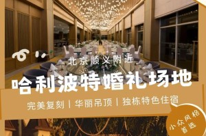 成为哈利波特的新人（打造完美魔法世界，快速融入巫师社群）
