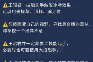 王昭君技能和出装攻略（掌握王昭君的技能和选择适合的装备，成为巅峰王昭君！）