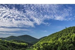 《探寻西塞山泊渔家游戏的最佳攻略》（发现隐藏技巧，成为顶尖渔夫！）