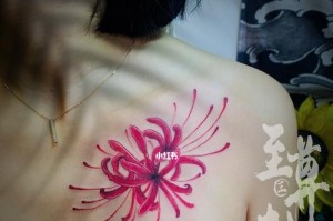 彼岸花出装教程攻略最新（揭秘彼岸花打造时尚造型的关键诀窍）