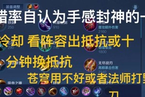 全面解析新宫本的出装及铭文顺序攻略（掌握关键信息，成为新宫本的高手）